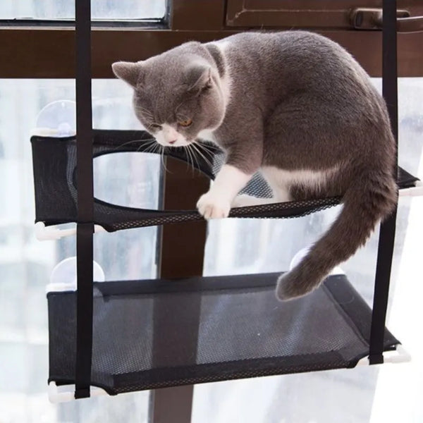 Felinoft Katzenliege Tunnel | 2-in-1 Fensterbett & Spieltunnel | Stabile Saugknöpfe | Atmungsaktiv & Faltbar