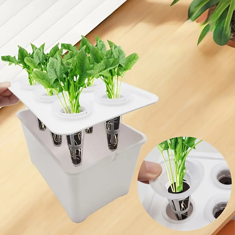 Hydroverde Indoor-Grow-Set Hydroponisches Anzuchtsystem für Innenräume | Selbstbewässerndes Mini-Gewächshaus | 12×18×10,5 cm | Für Kräuter & Stecklinge