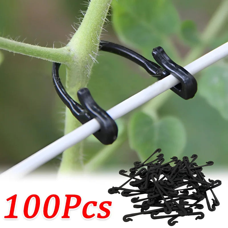 ClipVine Pro | 50/100er-Set Pflanzenclips aus Kunststoff | Für Tomaten, Reben & Gemüsepflanzen | 6,5 × 1 cm | UV-beständig