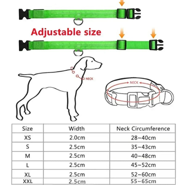 LUXPETS GlowSafe LED Hundehalsband | Leuchtend & Wiederaufladbar | Verstellbar & Wasserdicht | Anti-Verlust bei Nacht