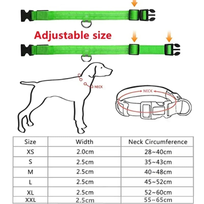 LUXPETS GlowSafe LED Hundehalsband | Leuchtend & Wiederaufladbar | Verstellbar & Wasserdicht | Anti-Verlust bei Nacht