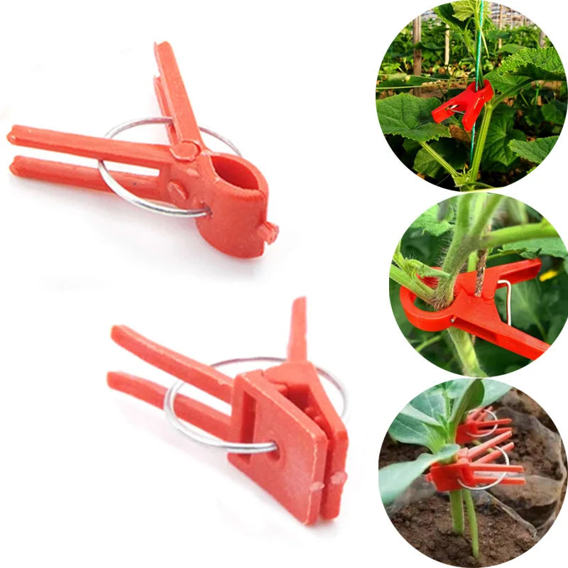 PlanturaClip Pflanzenclips für Garten & Gewächshaus | 10/20/50 Stück | Graft- & Rankhilfe für Tomaten, Gurken & Setzlinge