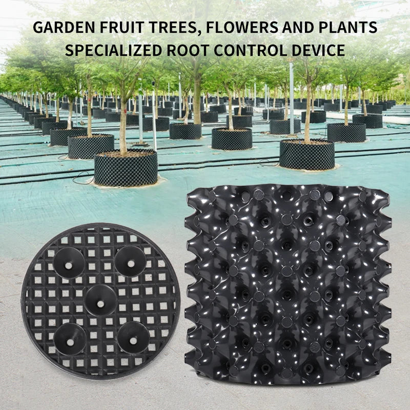 RootMaster Pro | Wurzelkontroll- & Aufzucht-Topf | Für Bonsai, Bäume & Sträucher | Schnelles Wurzelwachstum | PVC-Schale