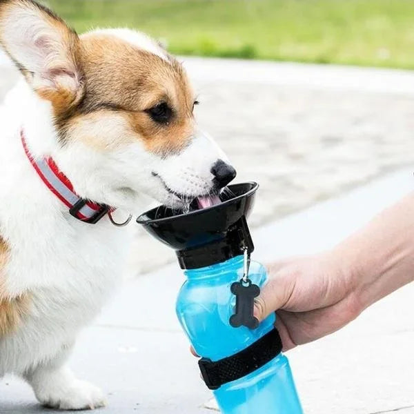 Hunde-Trinkflasche HydroPaws | 2-in-1 mit Napf | Auslaufsicher & Tragbar | 500ml | Blau, Rosa, Grau