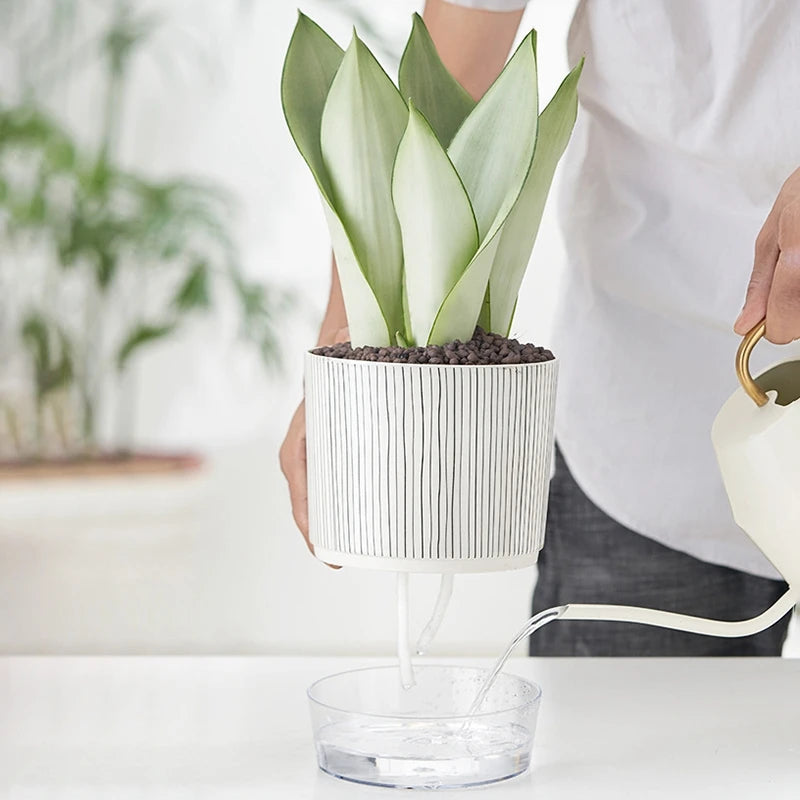 FLORANO Blumentopf | Kunststoff mit Wasserspeicher | Abnehmbar | Design Ice-Crack & Zebra