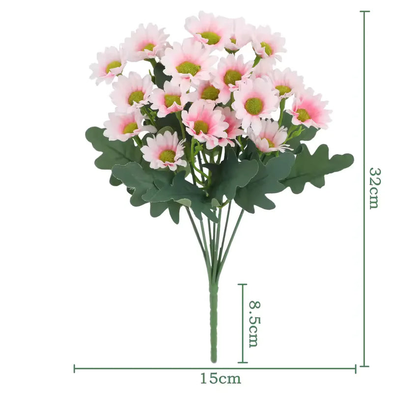 1+1 GRATIS | EverDaisies – Zeitlose Strahlkraft, die bleibt!