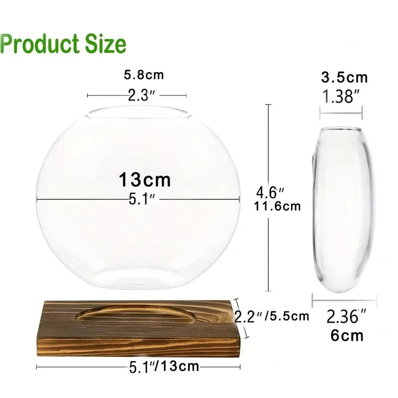 Verdura 2er-Set Glas Terrarium mit Holzständer | Reagenzglas-Vasen für Stecklinge & Hydrokultur | Moderne Deko für Zuhause & Büro