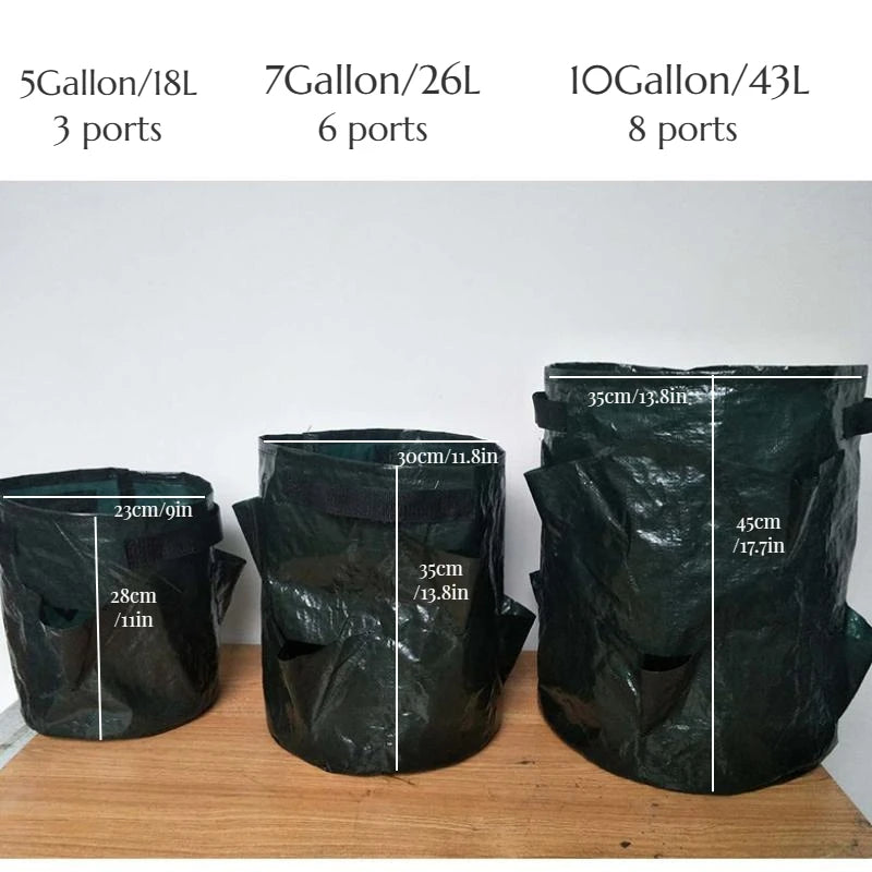 Plantuvo GrowBag Pflanzsack für Erdbeeren & Gemüse | 5/7/10 Gallonen | Mit Pflanzöffnungen & Tragegriffen | PE-Material | Faltbar & Wiederverwendbar
