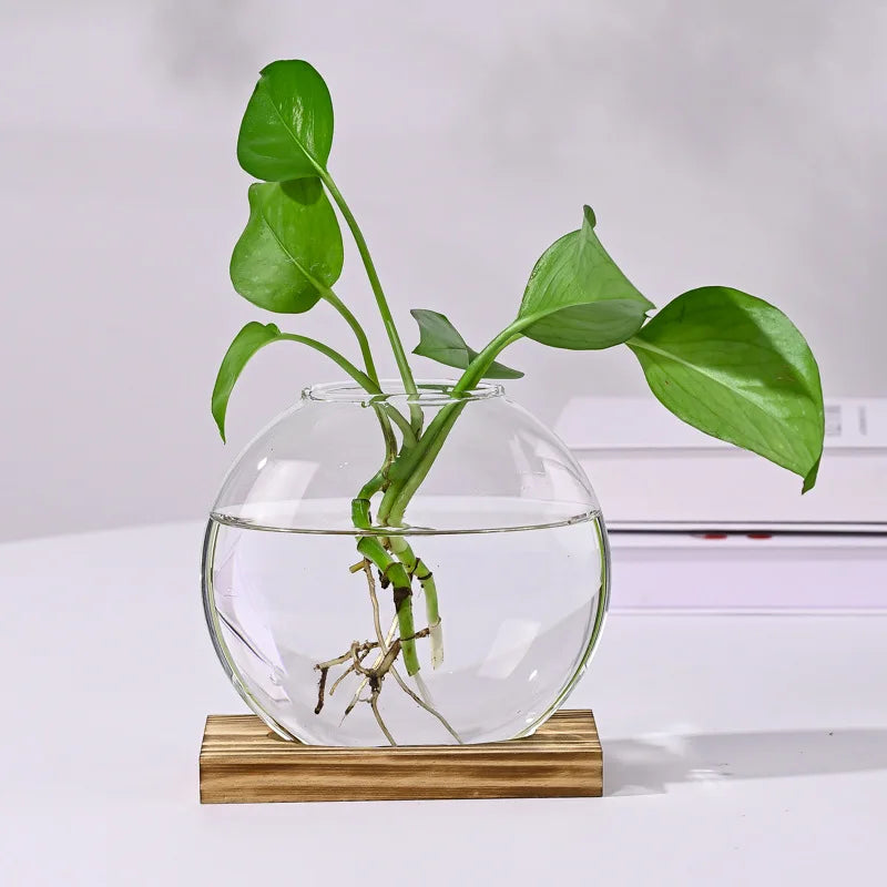 Verdura 2er-Set Glas Terrarium mit Holzständer | Reagenzglas-Vasen für Stecklinge & Hydrokultur | Moderne Deko für Zuhause & Büro