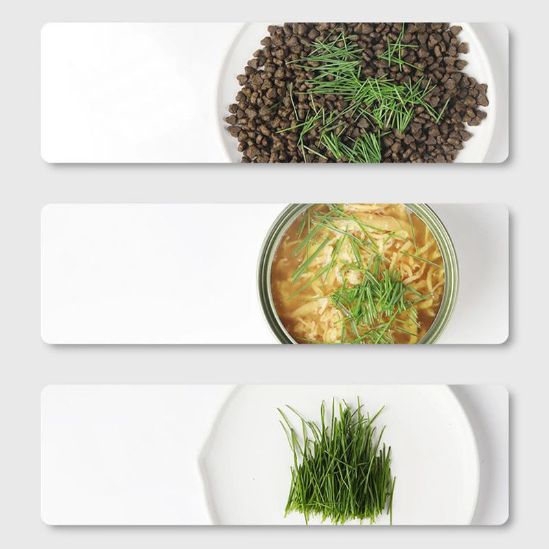GreenPaws Keimschale | Cat Grass Pflanzbecher | Aus lebensmittelechtem PP | Für Weizengras, Bohnen & mehr | Ohne Erde