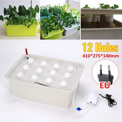 Hydroponisches Pflanzset GrowPure 12 | 12-Kammer-System mit Pumpe | 220 V | Für Kräuter, Gemüse & Setzlinge | 41×27,5×14 cm