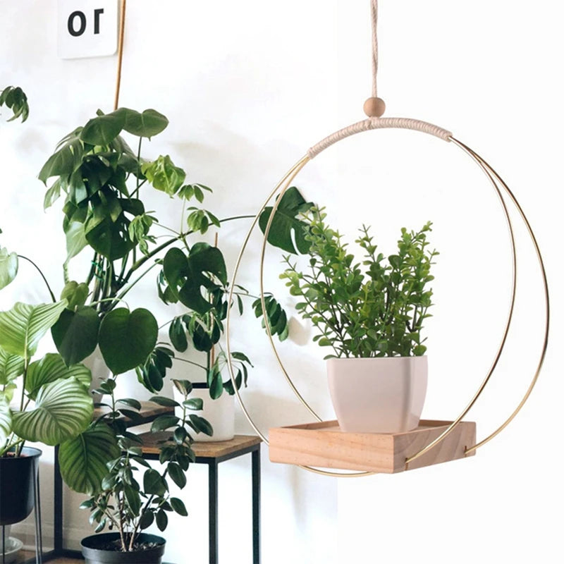 NaturHäng Pflanzenhalter | Hängendes Regal aus Holz | Blumenampel für Wohnzimmer, Balkon & Indoor-Deko
