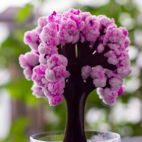 Kristallia | Magischer Mini-Kirschblütenbaum | DIY Kristall-Wachstumsbaum | Wissenschaftliches Lernspielzeug | Geschenk für Kinder