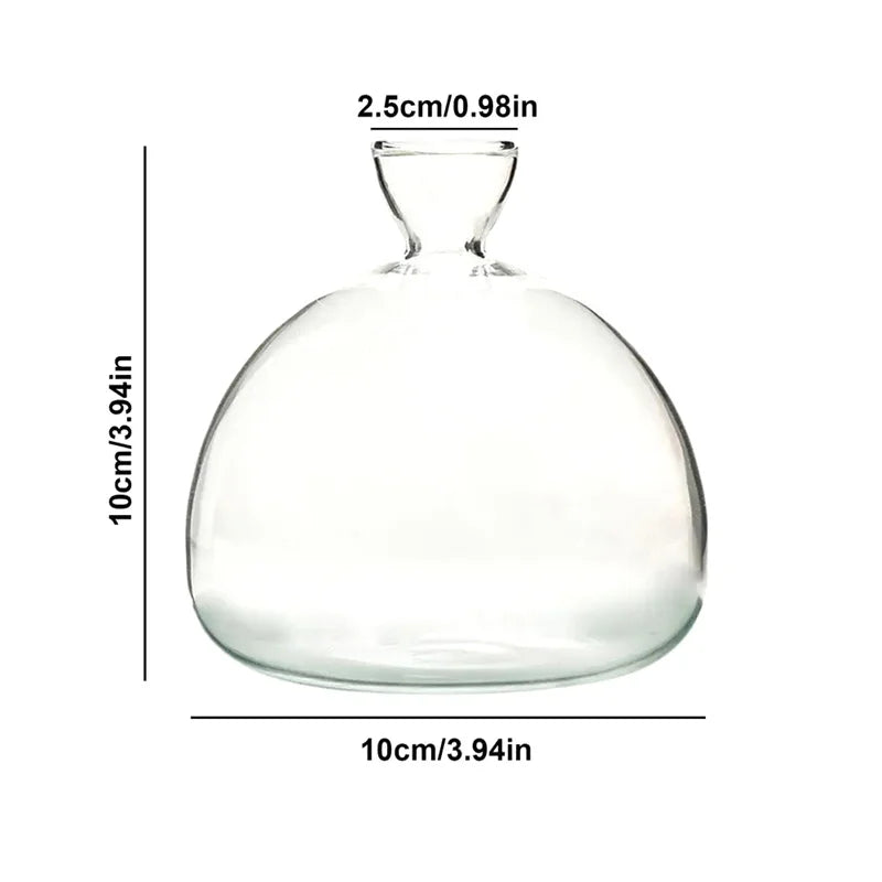 Avocado Vase Glas | Transparentes Keimglas | Pflanzgefäß für Avocado-Anzucht | 10–15 cm