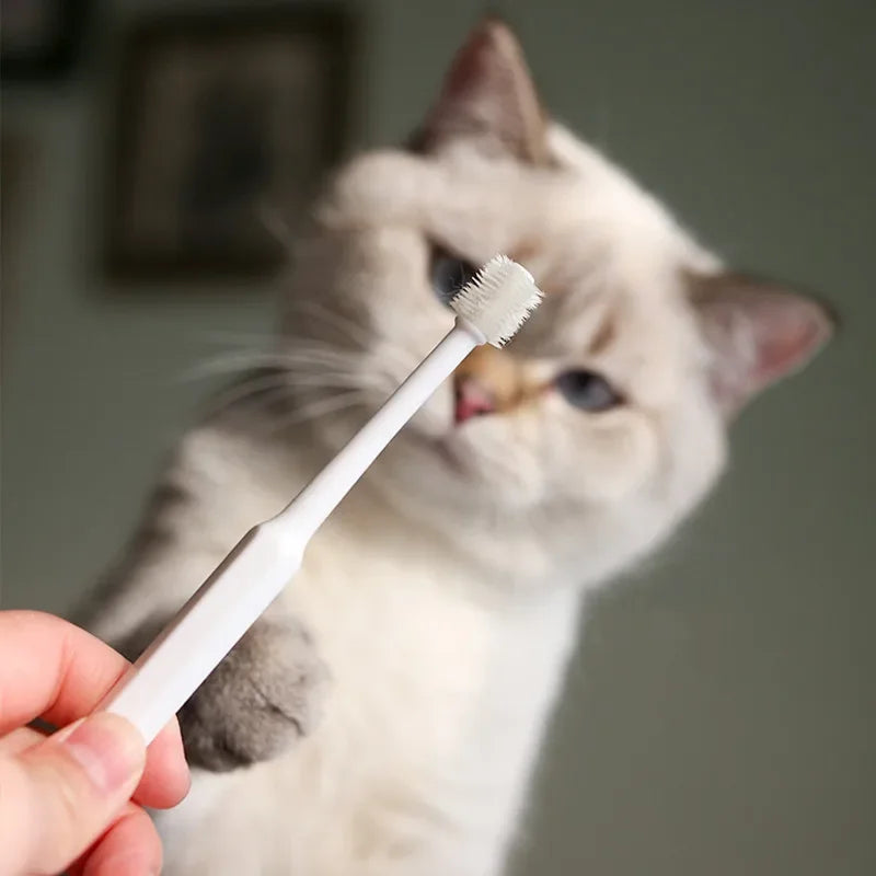 Dentikat Katzen-Zahnbürste | Weiche Borsten für sanfte Maulpflege | Für gesunde Zähne & frischen Atem
