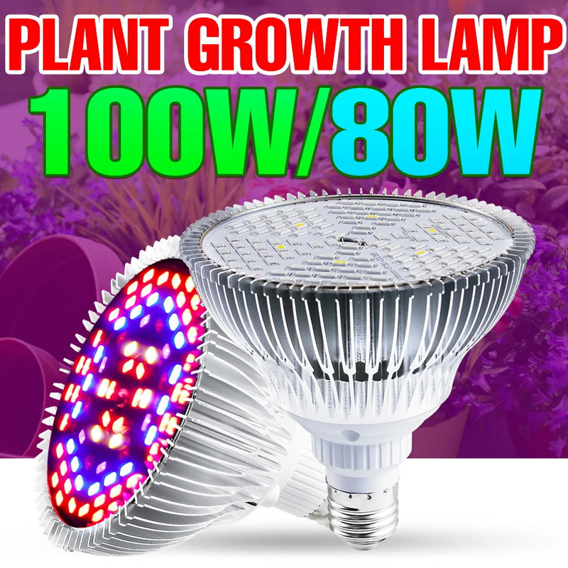 Pflanzenlampe PhytoLux | LED Vollspektrum E27/E14 | Für Wachstum & Blüte | Aluminiumgehäuse