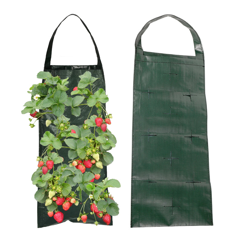 VertiBloom Wand-Pflanztasche für Erdbeeren & Kräuter | 6/8/10 Taschen | Vertikaler Garten Pflanzsack aus PE für Innen & Außen