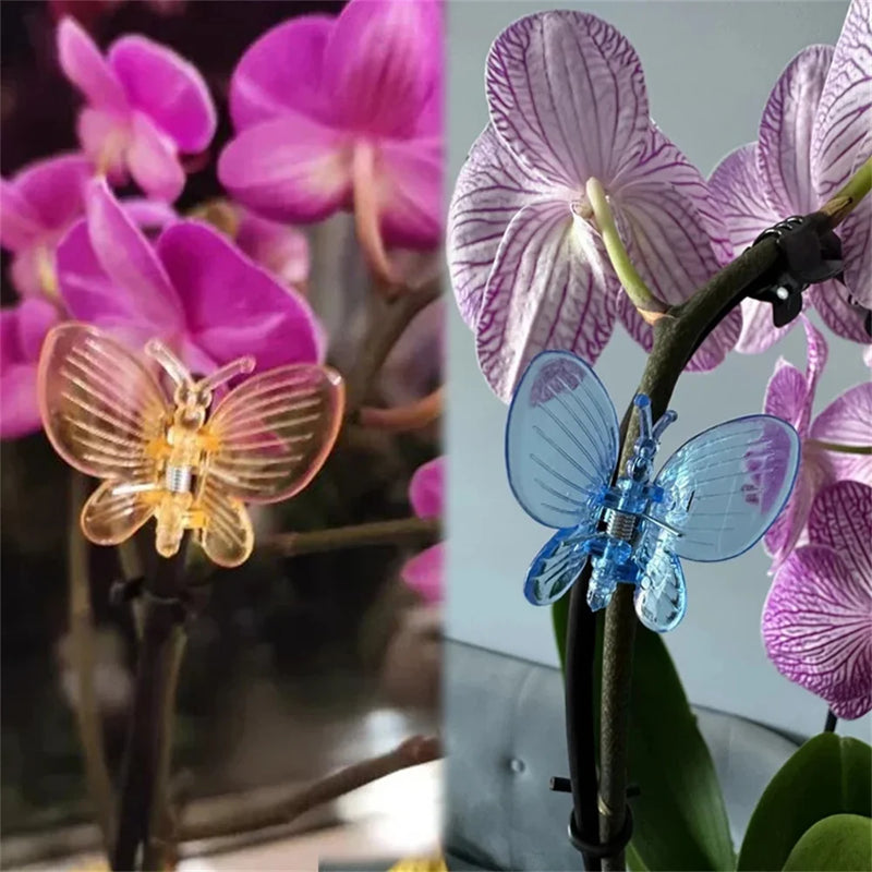 FloraFix 30 Stück Orchideen- & Pflanzenclips | Bunte Schmetterlings-Clips | Für Rankhilfen & Pflanzenstütze | Kunststoff