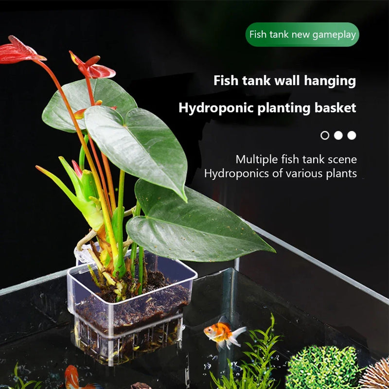 AquaBloom Pflanzenkorb für Aquarium | Transparenter Hängekorb | Für Aquarienpflanzen & Dekoration