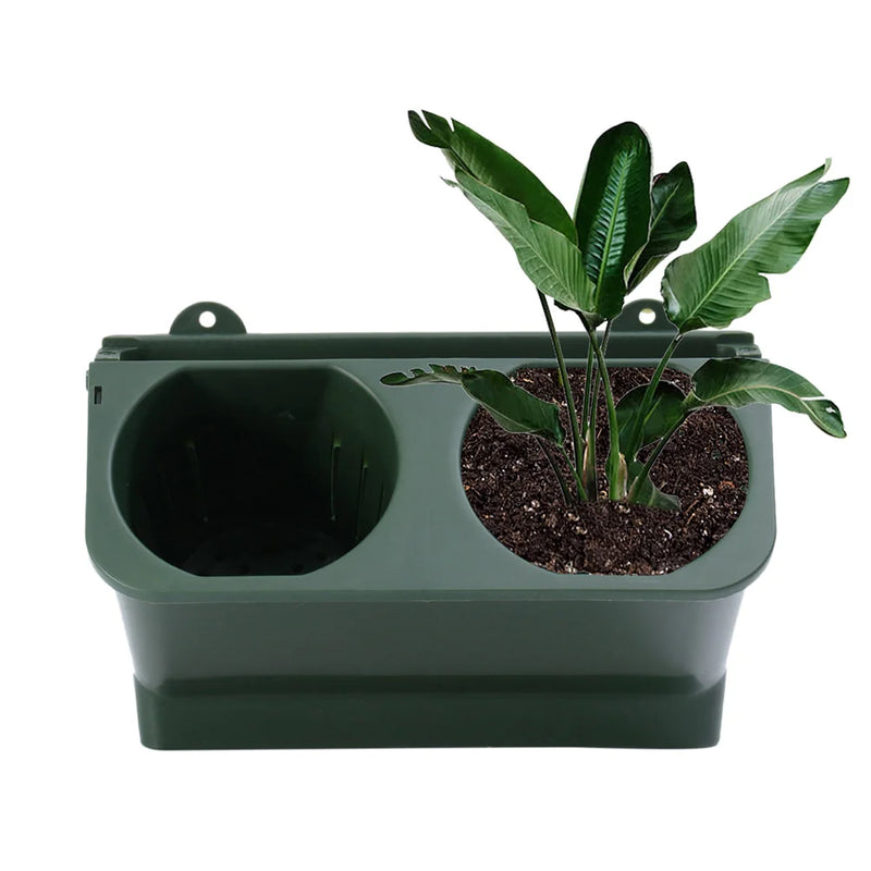 Aqualina DuoHängeset 2er-Set Hängende Blumentöpfe mit Selbstbewässerung | 24x14x14 cm | Für Balkon, Garten & Innenräume | Kunststoff