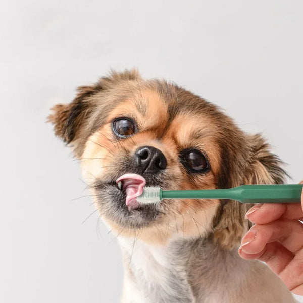 Dentikat Katzen-Zahnbürste | Weiche Borsten für sanfte Maulpflege | Für gesunde Zähne & frischen Atem