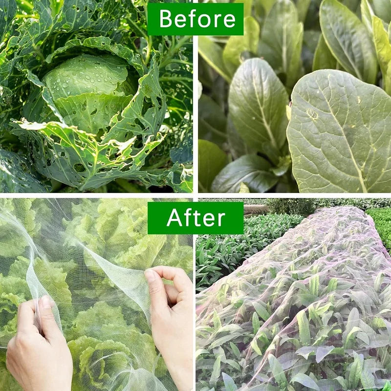 Naturaviso Gartennetz Insektenschutz | UV-beständig & Reißfest | Pflanzenschutznetz gegen Schädlinge & Vögel