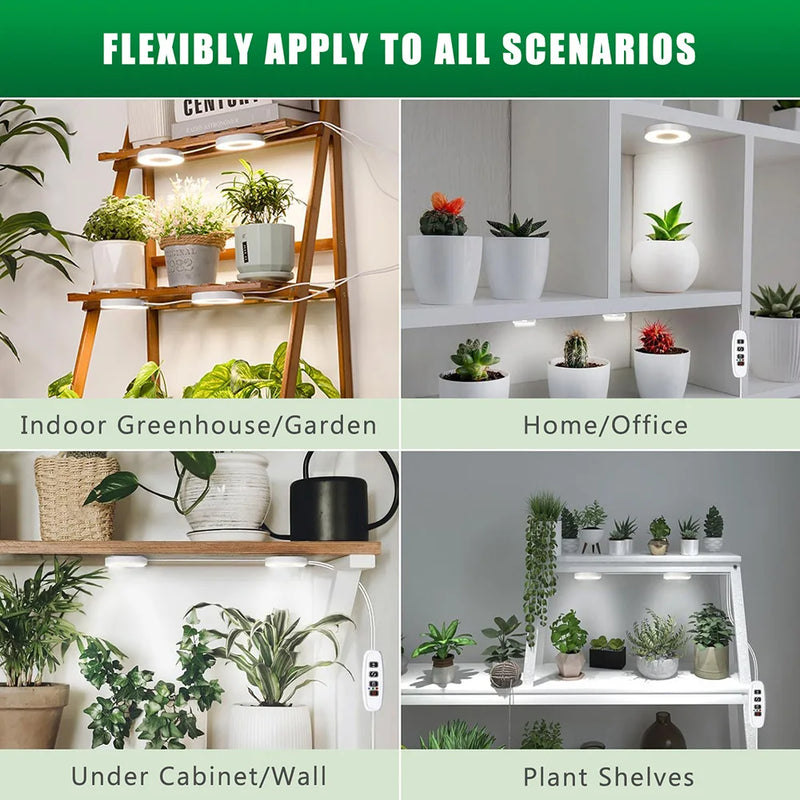 FloraHalo Pflanzenlampe | LED Pflanzenlampe Vollspektrum | 10 Helligkeitsstufen & Timer | Decken- & Unterbau-Halo-Licht für Zimmerpflanzen