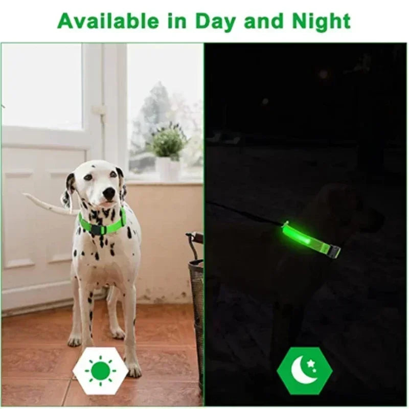 LUXPETS GlowSafe LED Hundehalsband | Leuchtend & Wiederaufladbar | Verstellbar & Wasserdicht | Anti-Verlust bei Nacht