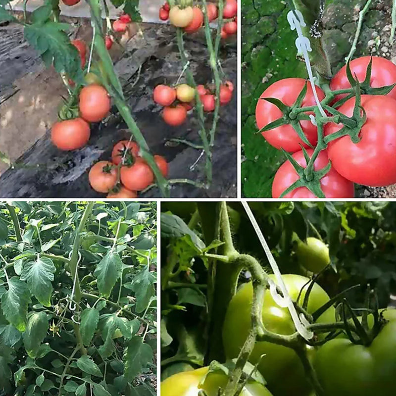 GrowHook J | Wiederverwendbare J-Haken für Tomaten & Kletterpflanzen | 9,5 cm / 13 cm / 16 cm | 1–100 Stück | Pflanzenhalter für Rankhilfe