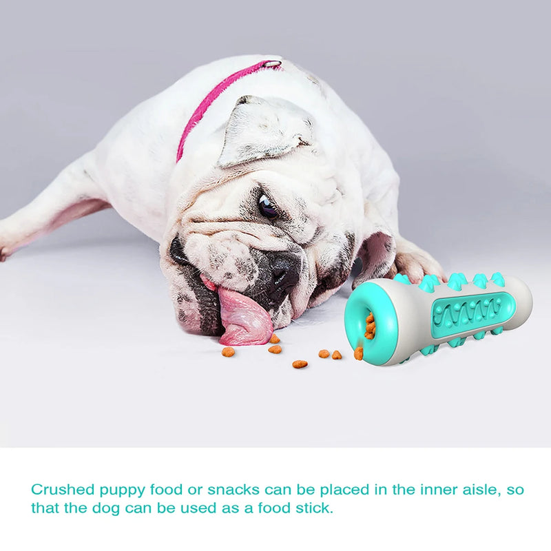 ChewCare Pro Hundezahnbürsten-Kauspielzeug | Interaktiver Kaustab für mittlere & große Hunde | Zahnreinigung & Stressabbau