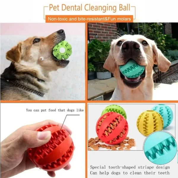 Hundespielball ChewPlay FlexiBall | Interaktives Gummispielzeug mit Futterfunktion | Zahnpflege & Kauspiel | Für kleine Hunde