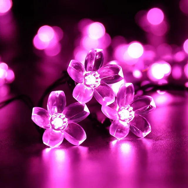 LumiSola Solar Lichterkette | 20–100 LEDs | Warmweiß, Weiß oder RGB | 8 Modi | Für Garten & Balkon | 5–12m
