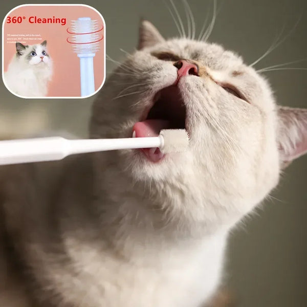 Dentikat Katzen-Zahnbürste | Weiche Borsten für sanfte Maulpflege | Für gesunde Zähne & frischen Atem