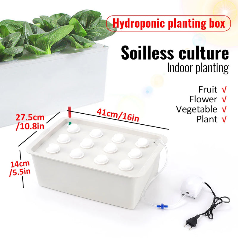 Hydroponisches Pflanzset GrowPure 12 | 12-Kammer-System mit Pumpe | 220 V | Für Kräuter, Gemüse & Setzlinge | 41×27,5×14 cm