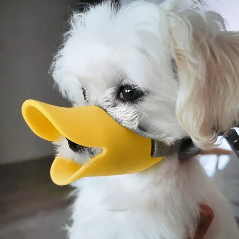 Pawmodo Hunde Maulkorb Ente | Weiches Silikon | Verstellbar & Bequem | Für Pudel, Samojeden & Teddyhunde