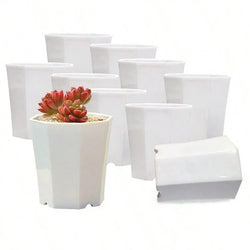 FloraForm Octa | 10er-Set Achteckige Blumentöpfe | Schwarz & Weiß | Atmungsaktiv | Für Sukkulenten & Setzlinge | Ø 8 cm