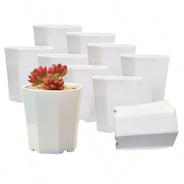 FloraForm Octa | 10er-Set Achteckige Blumentöpfe | Schwarz & Weiß | Atmungsaktiv | Für Sukkulenten & Setzlinge | Ø 8 cm