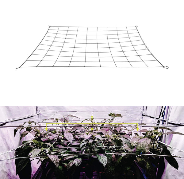 FlexiGrow Net | Elastisches Ranknetz mit Haken | 10 × 10 cm Maschen | Für Growbox, Pflanzen & Hydrokultur