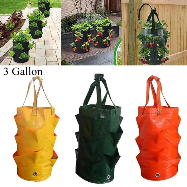 Growpura Pflanzsack Gemüse & Erdbeeren | 3 Gallonen PE Anzuchttasche mit Taschen | Wiederverwendbar & Wasserdicht