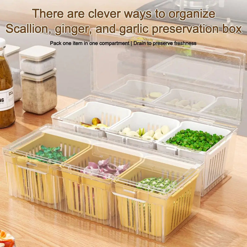 Organixo | Aufbewahrungsbox | Kompakt & Stapelbar | ABS | 22,7 x 9 x 6,7 cm
