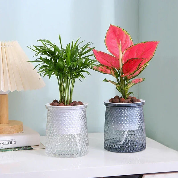 Hydrosyn MiniPlanter Selbstbewässernder Blumentopf Mini | 10–13,5 cm | Für Sukkulenten, Bonsai & Tischdeko | Modern & pflegeleicht