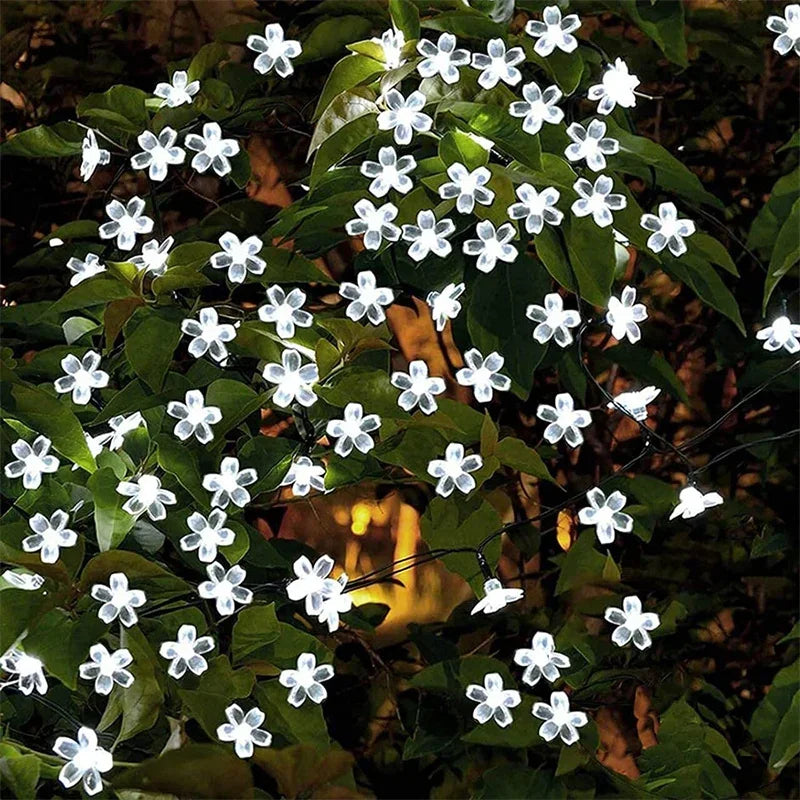 LumiSola Solar Lichterkette | 20–100 LEDs | Warmweiß, Weiß oder RGB | 8 Modi | Für Garten & Balkon | 5–12m
