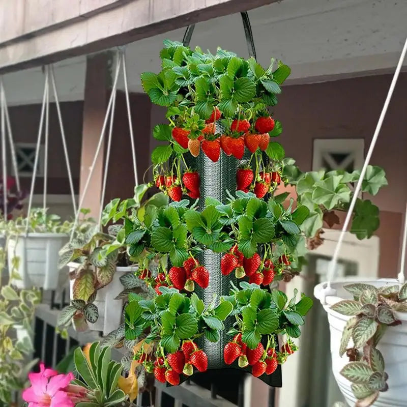 GrünHäng Pflanztasche mit 4/6/8/10 Öffnungen | Hängend & Atmungsaktiv | Für Erdbeeren, Tomaten & Kräuter | Robustes Canvas-Gewebe