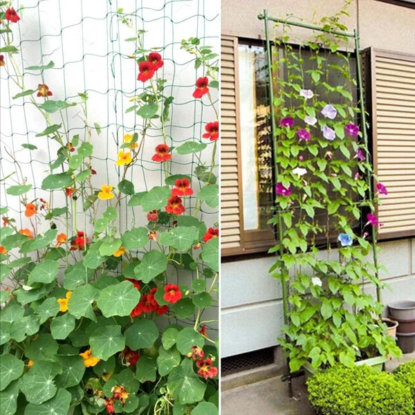 VertiGrow Pflanzen-Kletternetz 10 m | Robust & UV-beständig | Platzsparende Rankhilfe für Gemüse & Blumen