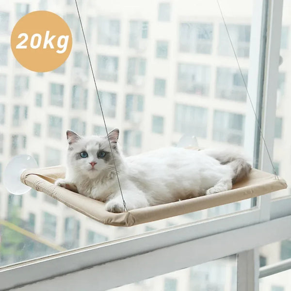 Sunpaws Katzenfensterliege mit Saugnäpfen | Waschbarer Bezug | Belastbar bis 20 kg | 55 × 35 cm | Ohne Bohren montierbar