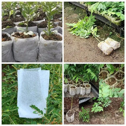 Pflanzsäcke BioGrow | Biologisch Abbaubar | Atmungsaktiv & Wurzelfreundlich | 25–100er Set
