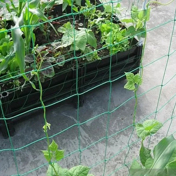 CLIMBEX Ranknetz für Pflanzen | Windschutz & Kletterhilfe | Für Gurken, Wein, Blumen & mehr – 1 Stück