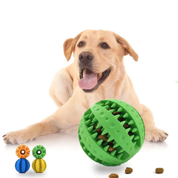 Hundespielball ChewPlay FlexiBall | Interaktives Gummispielzeug mit Futterfunktion | Zahnpflege & Kauspiel | Für kleine Hunde