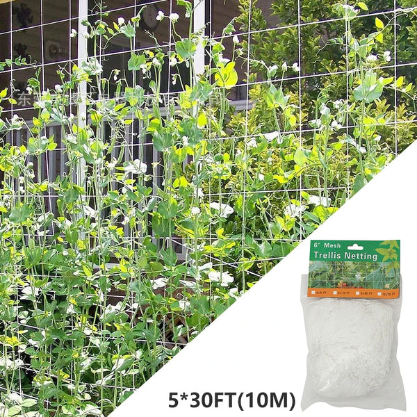 VertiGrow Pflanzen-Kletternetz 10 m | Robust & UV-beständig | Platzsparende Rankhilfe für Gemüse & Blumen