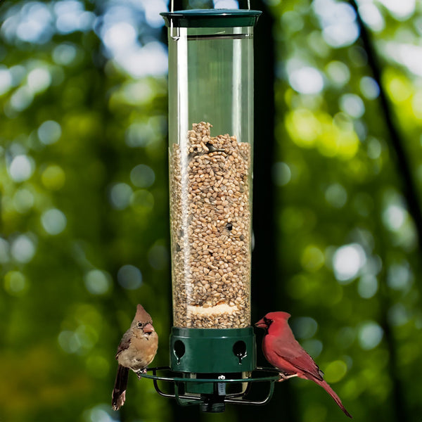 Aviron Vogelfutterspender mit Anti-Eichhörnchen-Schutz | Spinnmechanismus | 4 Futteröffnungen | 2,27 kg Fassungsvermögen